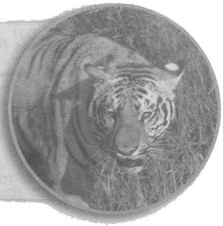 Задание рисунок 1