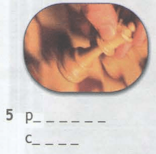 Задание рисунок 5