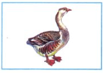 Решение рисунок 3