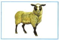 Решение рисунок 4