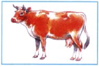 Решение рисунок 5