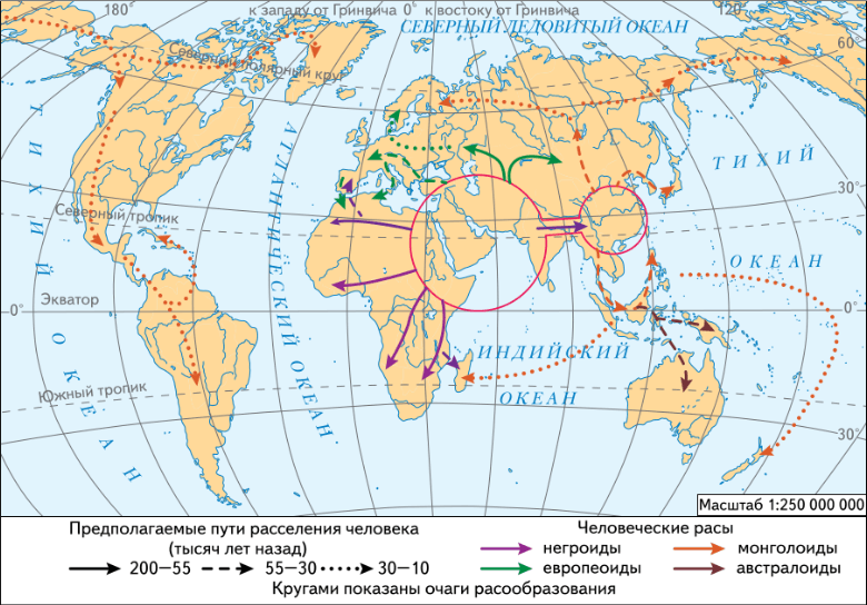 Решение рисунок 1
