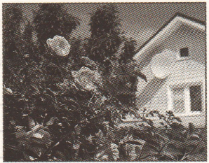 Задание рисунок 1