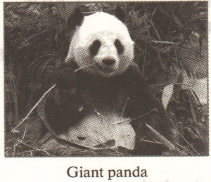 Задание рисунок 1